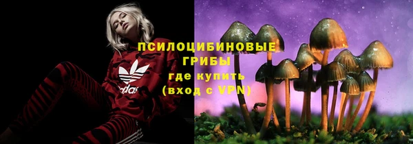 твердый Пролетарск