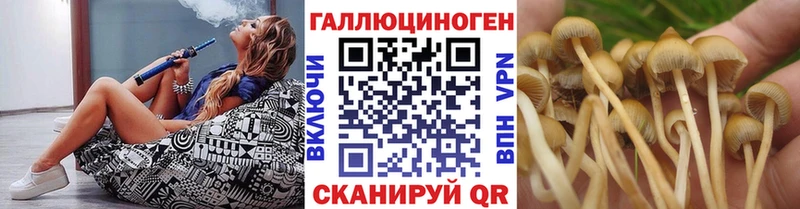 Псилоцибиновые грибы Magic Shrooms  блэк спрут ONION  Закаменск 